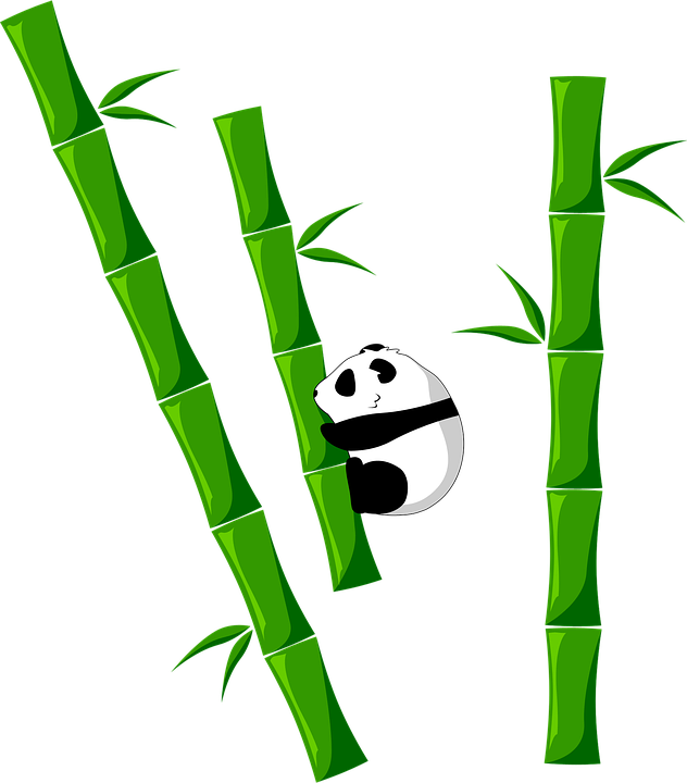 Bamboo Png - Bambu Png (632x720), Png Download