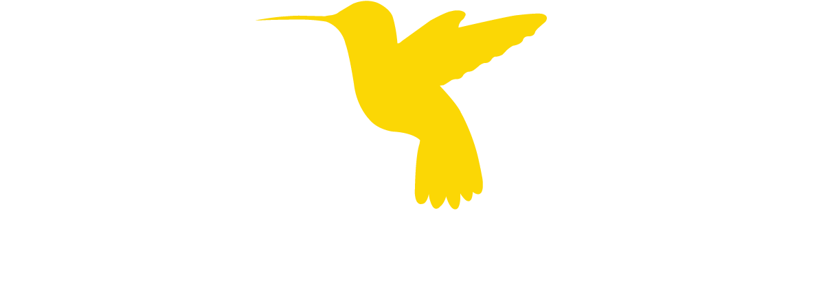 Dc504 Foundation Honors Recovering Veterans At The - Dc504 Foundation (1224x468), Png Download