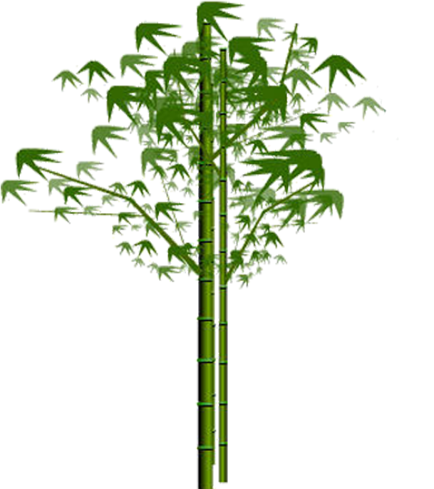 Bamboo Png, Download Png Image With Transparent Background, - Hinh Anh La Tre (700x700), Png Download