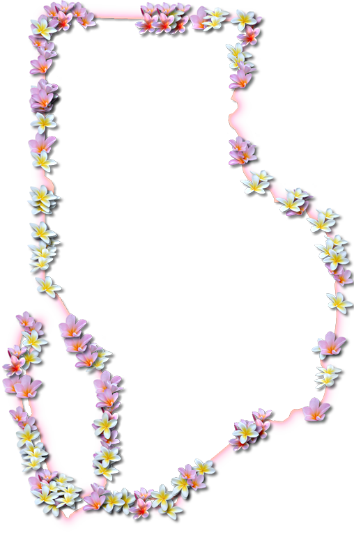 A Map Of Gulf With A Coral Color Glow Border And Pink - Circle (508x768), Png Download