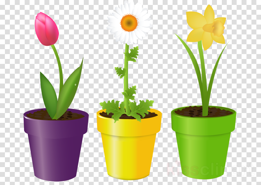 Download Flowers In A Pot Clipart Flowerpot Stock Photography - Flower In The Pot (900x640), Png Download