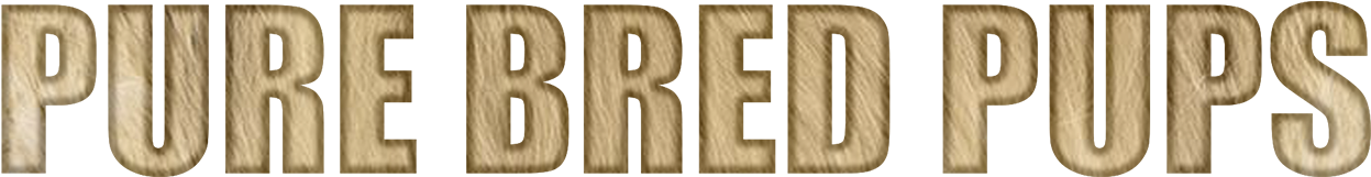 Purebred Pups - Parallel (1280x400), Png Download