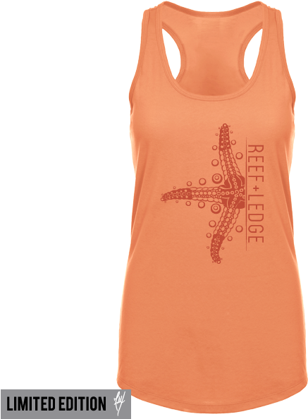 Sea Star - Starfish (600x600), Png Download