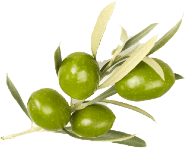 Free Png Olive Png Images Transparent - Sense Of Care Shea Butter Hand Cream Olive 40g/40ml (850x563), Png Download