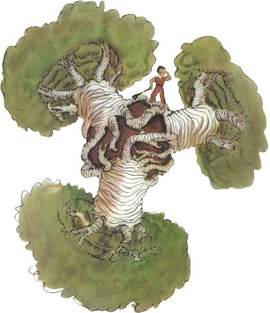 Quando Desenhei Os Baobás, Eu Estava Animado Pelo Sentimento - Petit Princep Baobabs (525x610), Png Download