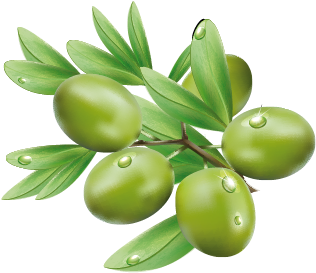 Olive Png (368x332), Png Download