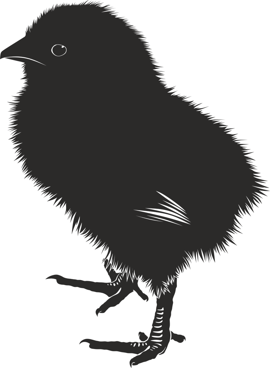 Vector Graphics,free Illustrations - Baby Chick Vector Art (940x1280), Png Download