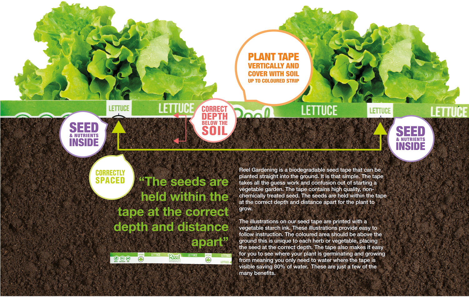 How To Plant Your Seed Tape - Click And Grow Semínka Do Květináče Zelený Salát (1500x1036), Png Download