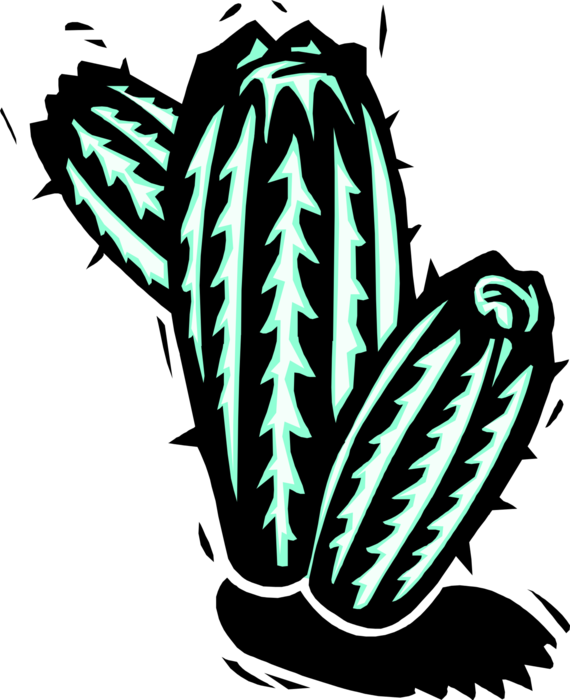Vector Illustration Of Desert Vegetation Succulent - Xilogravuras Png (570x700), Png Download