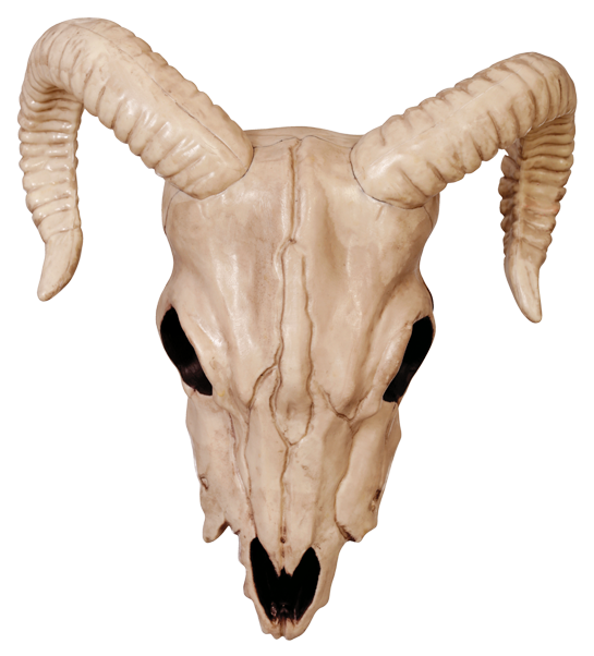 Goat Skull Png Picture Stock - Ram Skull Png (571x650), Png Download