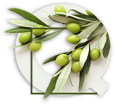 Latrovalis 06 Values Quality - Lunch Napkins Greek Olives (500x400), Png Download