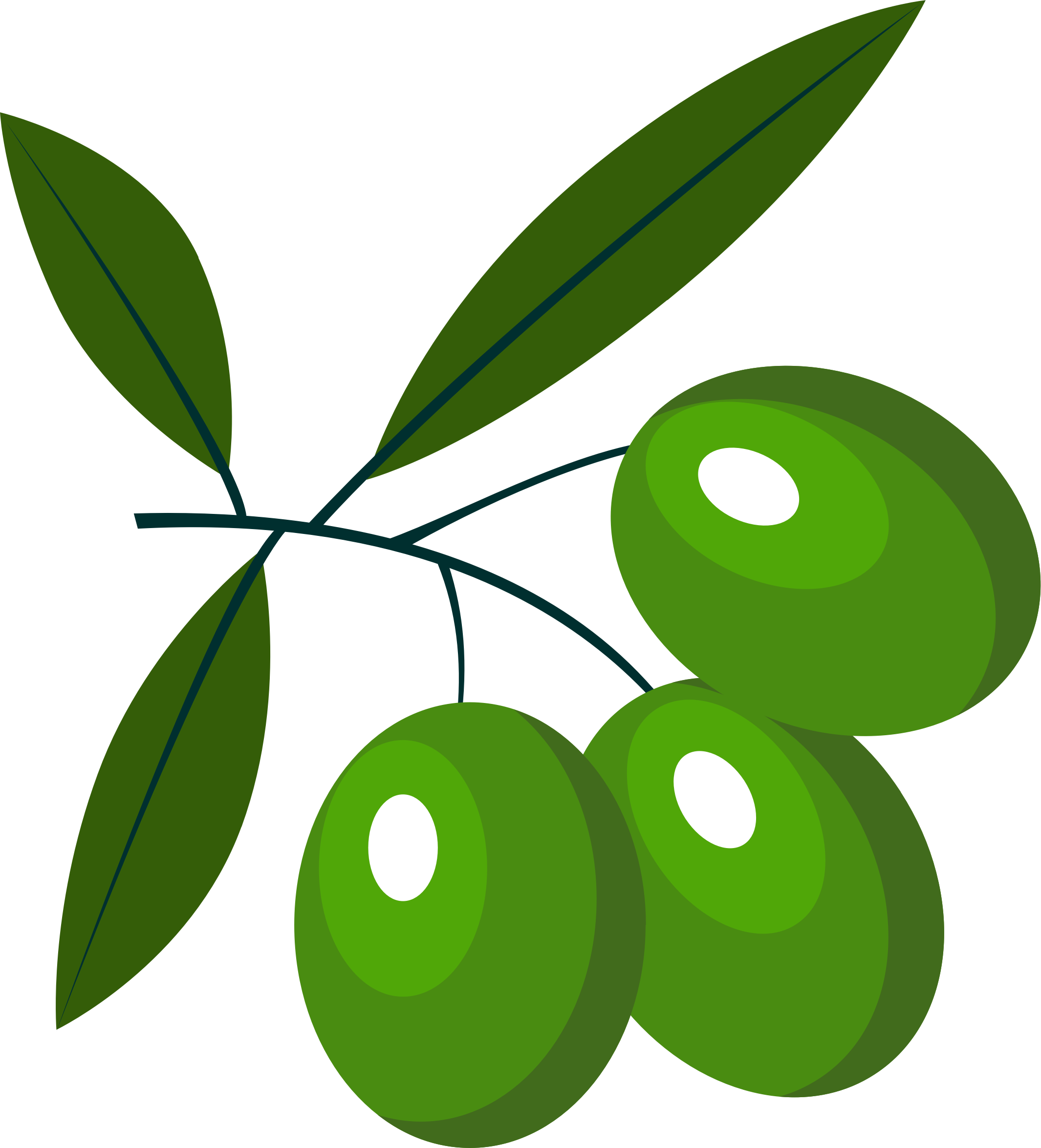 Big Image - Olives Clipart (2130x2350), Png Download
