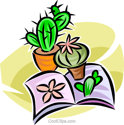 Cactus (476x480), Png Download
