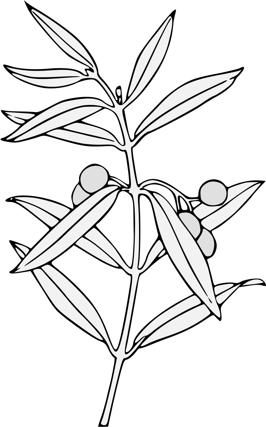 Details, Png - Line Art (956x1485), Png Download