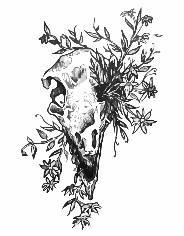 Raptor Skull (1000x989), Png Download