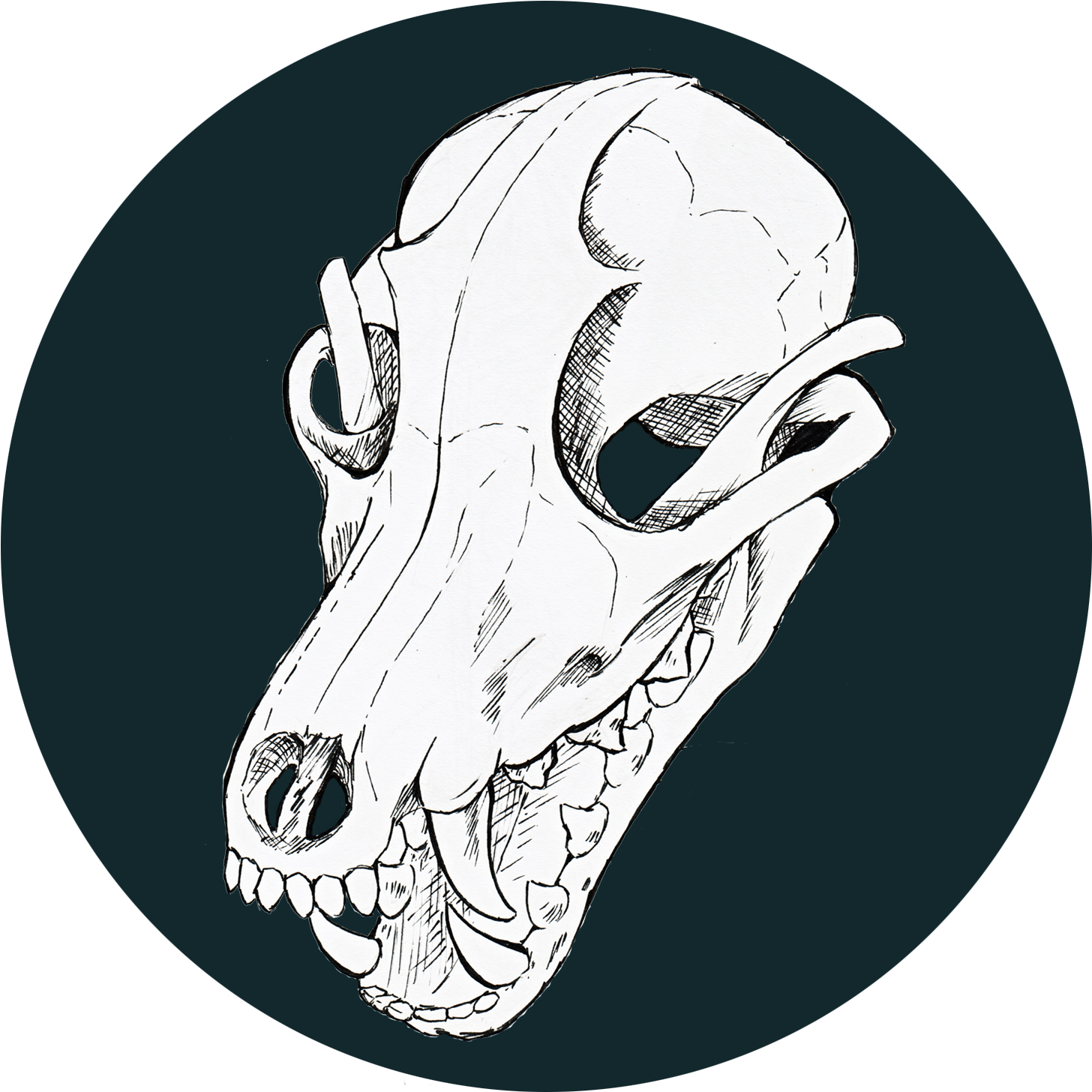 Giving Up Is Easy What If Sans Had An Animal Skull - Portrait Of A Man (1500x1500), Png Download
