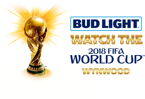 Fifa World Cup 2010 (500x386), Png Download