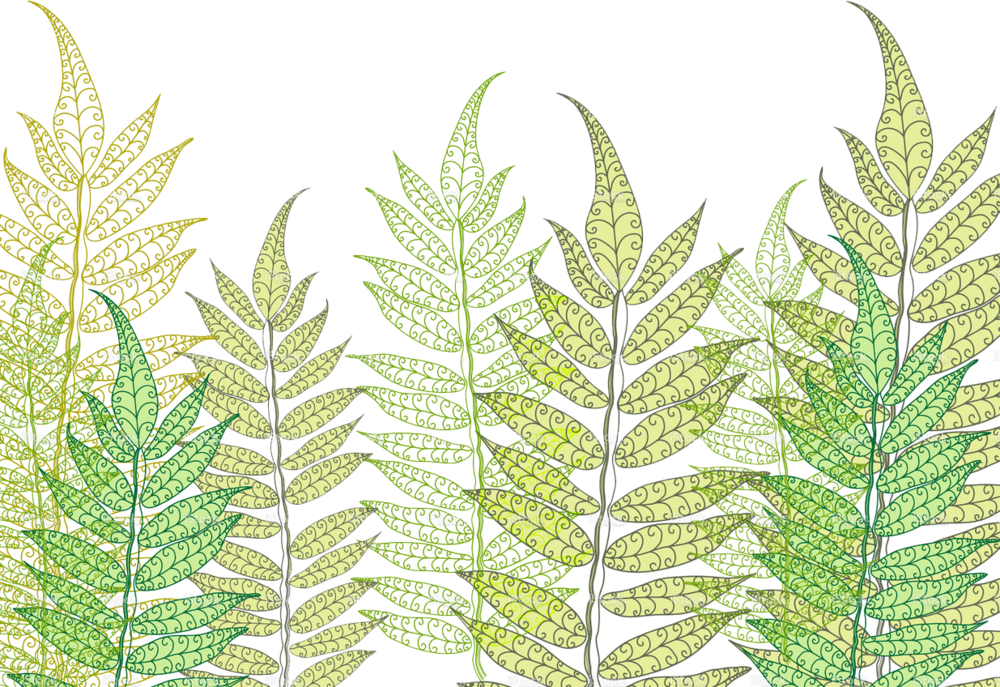 Fern13 - Illustration (1000x687), Png Download