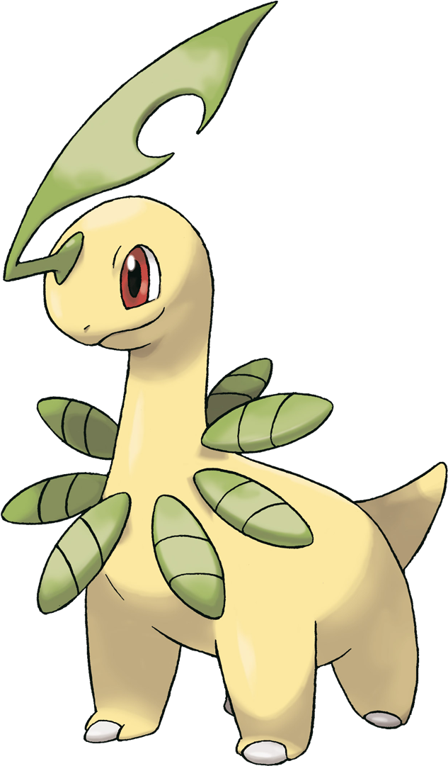 Bayleef Grass Type Pokemon, I Choose You, Pokemon Pictures, - Bayleef Pokemon Evolution (599x1024), Png Download