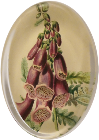 Foxglove & Ferns Foxglove & Ferns - Ceramic (500x500), Png Download