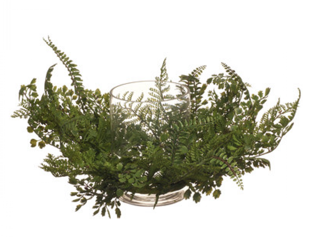 Grass (1000x1000), Png Download