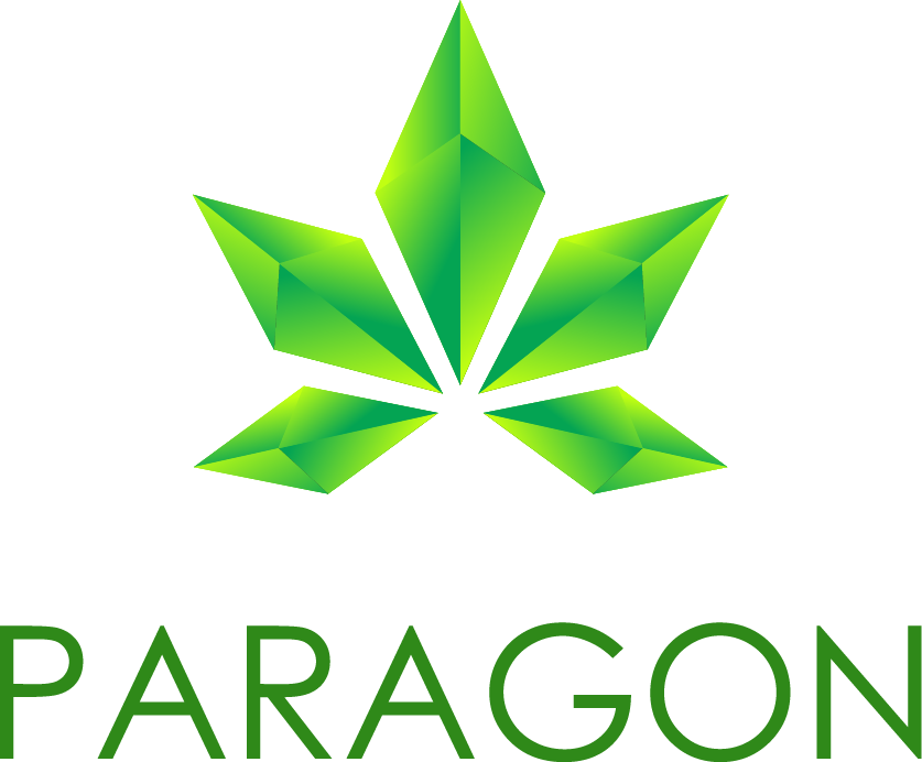Paragon Logo Medium - Paragon Coin Ico (837x692), Png Download