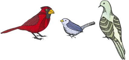 Since Watch Groups Host Events, Plan Meetings, And - Eastern Meadowlark (516x239), Png Download