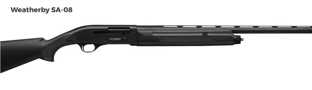 Four Great Budget Dove Guns - Firearm (1000x562), Png Download