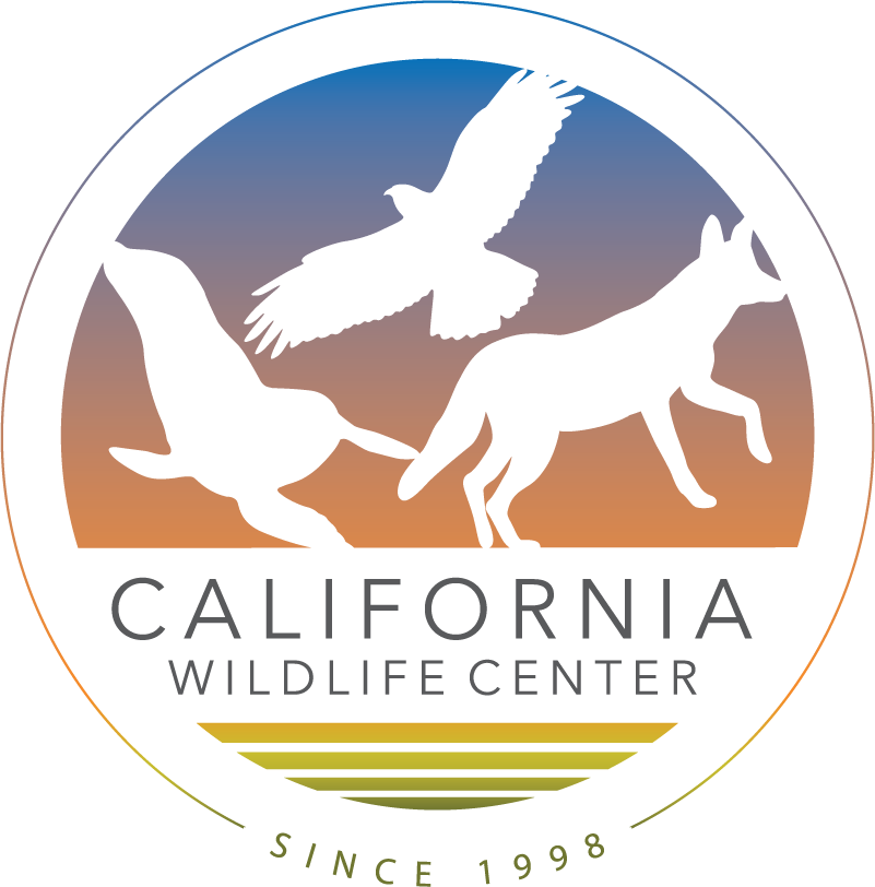 California Wildlife Center (801x812), Png Download