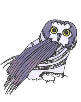 A Study By The Us Department Of Justice In 2008 Found - Great Grey Owl (360x360), Png Download