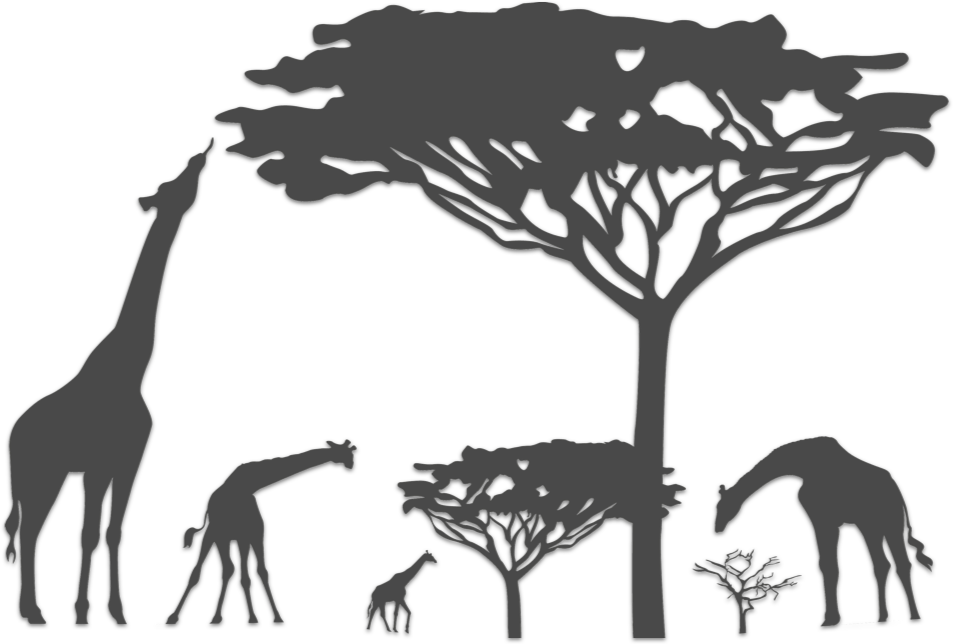 Giraffe - Safari Animals Silhouette Png (953x644), Png Download