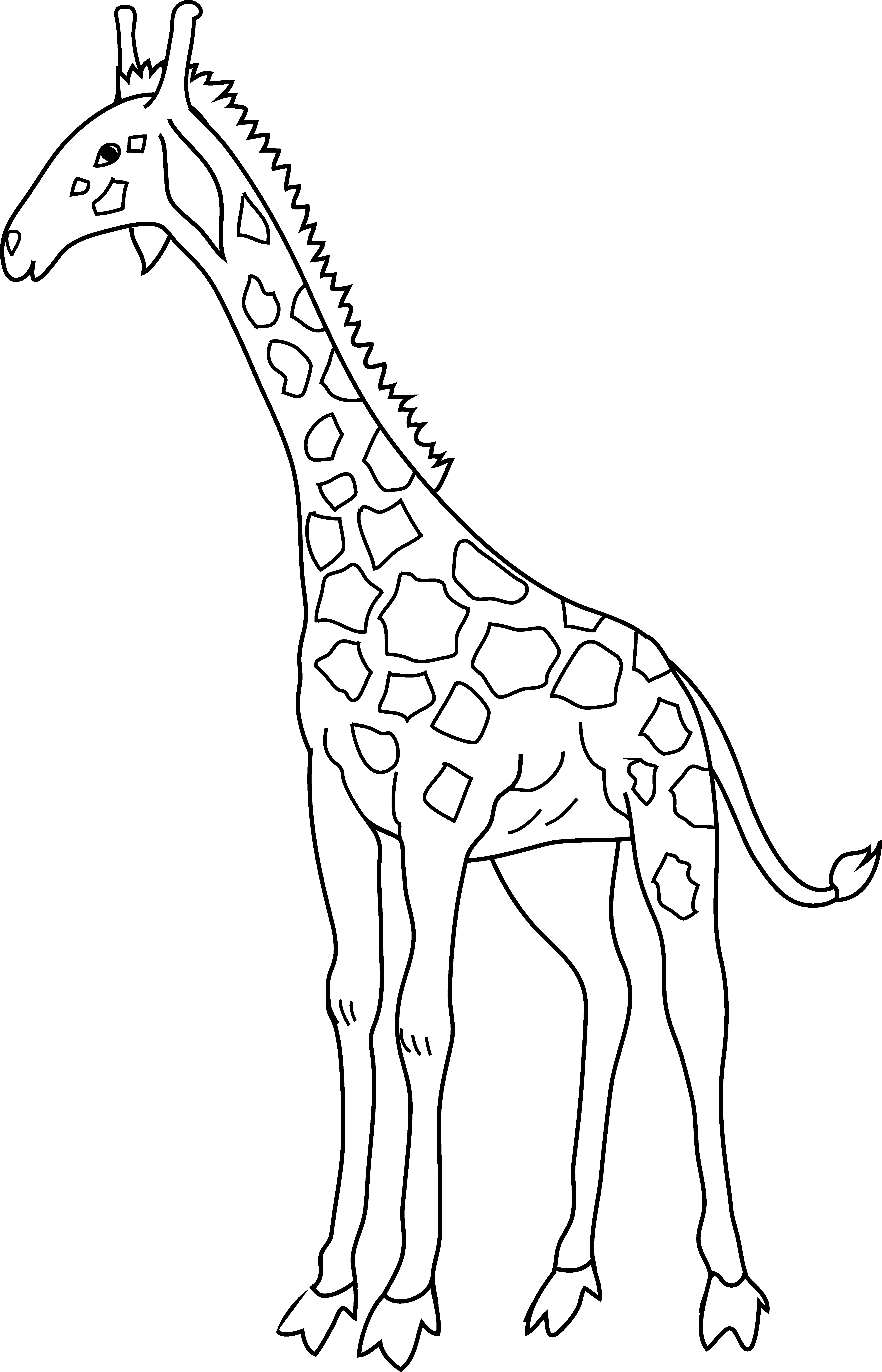 Clipart Free Download Coloring Page Free Clip Art - Clip Art (4773x7428), Png Download