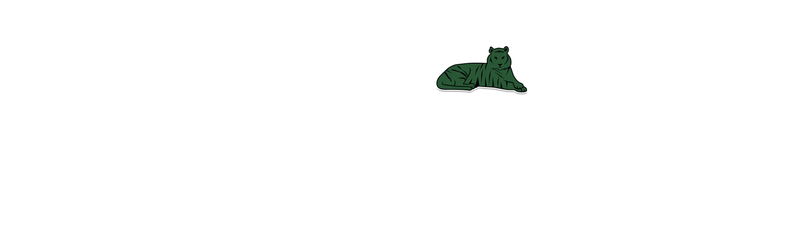 Polo Shirt Lacoste The Sumatran Tiger - Bear (1670x470), Png Download