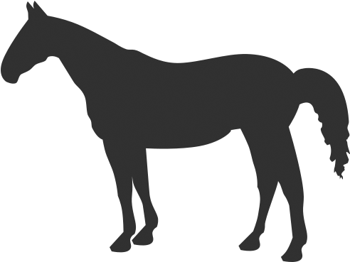 Quarter Horse Silhouette (500x500), Png Download