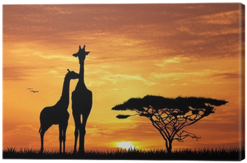 Baby Giraffe Silhouette At Sunset Canvas Print • Pixers® - Leinwandbild ,,giraffen Im Sonnenuntergang, Grafikdruck (400x400), Png Download