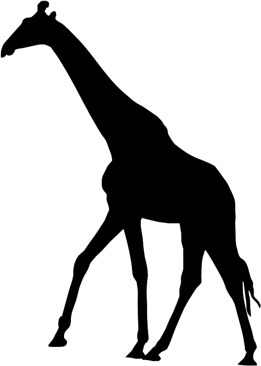 Giraffesilhouette - Elephant And Giraffe Cards (623x828), Png Download