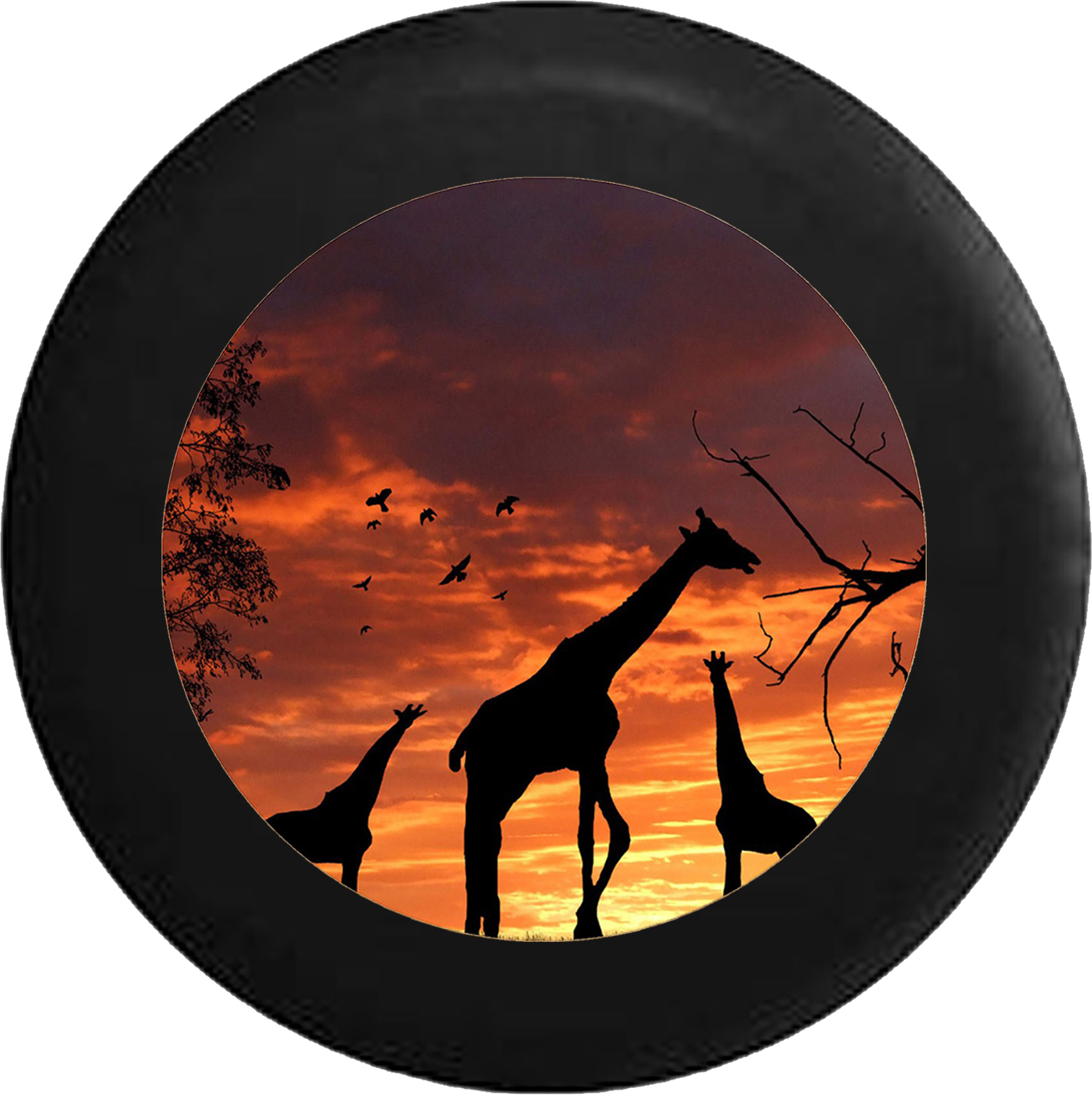 Silhouette Giraffes Sunset Sunrise African Safari Sahara - Desktop Backgrounds With Giraffes (1427x1431), Png Download