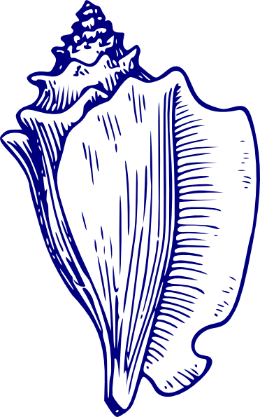 Blue Shell Clip Art - Lord Of The Flies Clip Art Conch (372x595), Png Download
