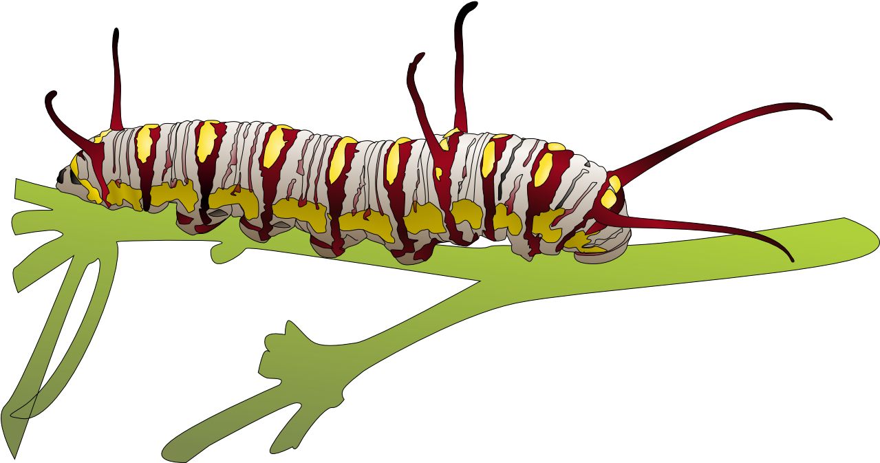 Caterpillar Free Png Image - Higad Clipart (1278x824), Png Download