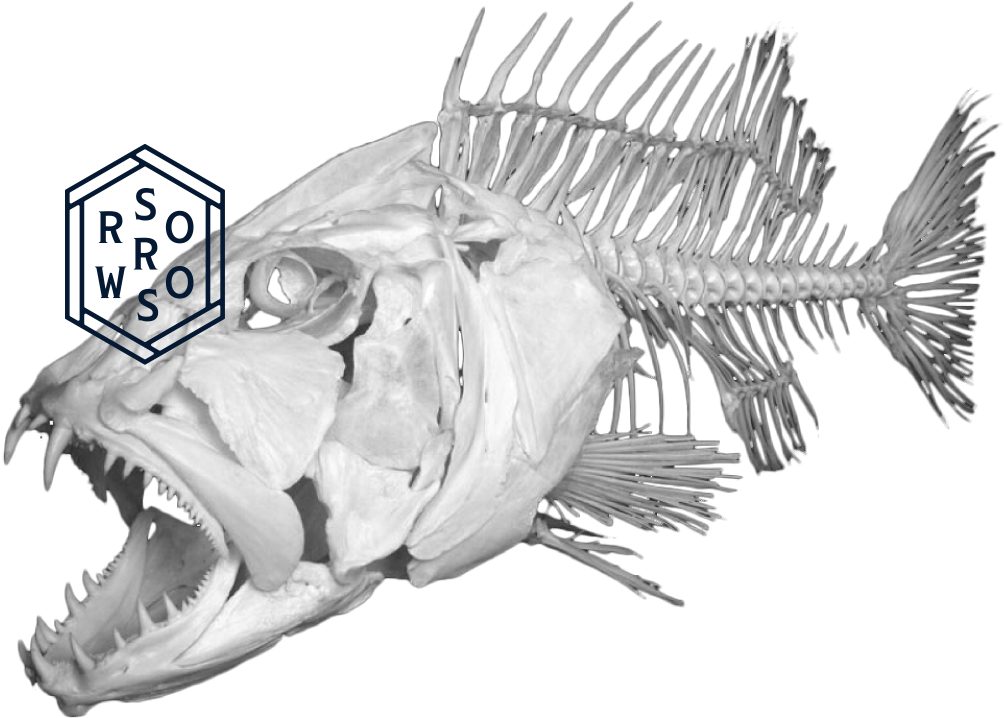 The Sorrows (1004x718), Png Download