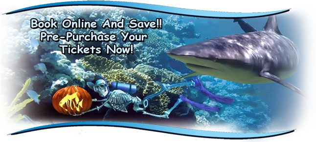 Skeleton In Aquarium - San Antonio (654x294), Png Download