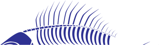 Point Angle Sky Plc - Invertebrate (636x750), Png Download