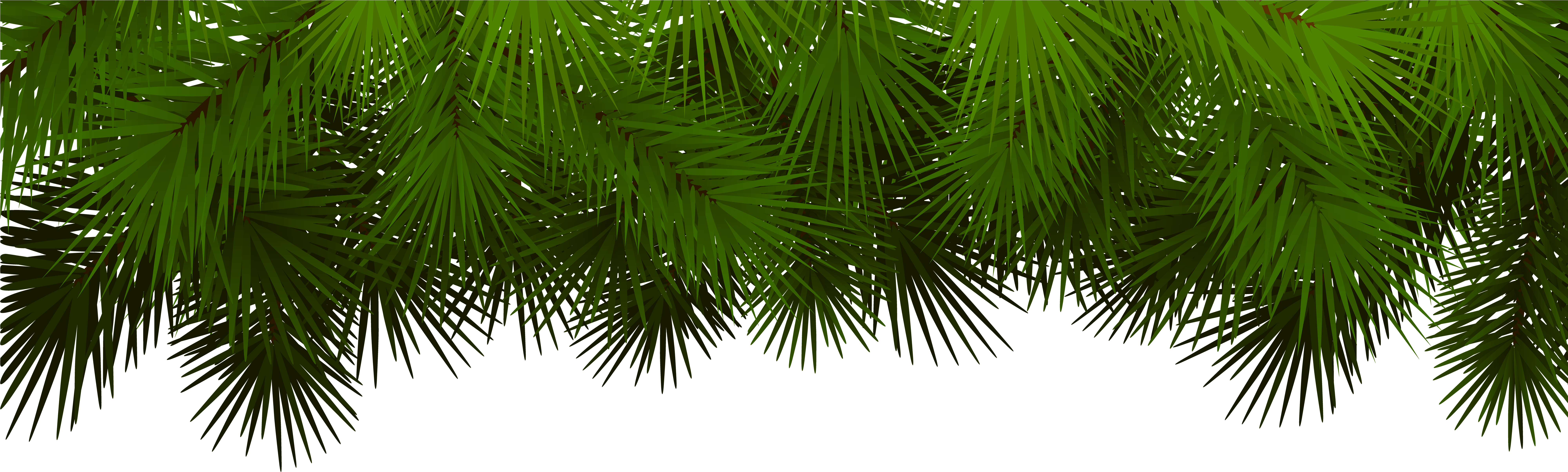 Christmas Tree Branch Png Download - Christmas Branch Transparent Clipart (8000x2658), Png Download