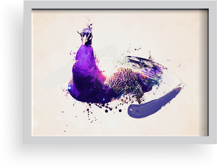 Peacock (1000x938), Png Download