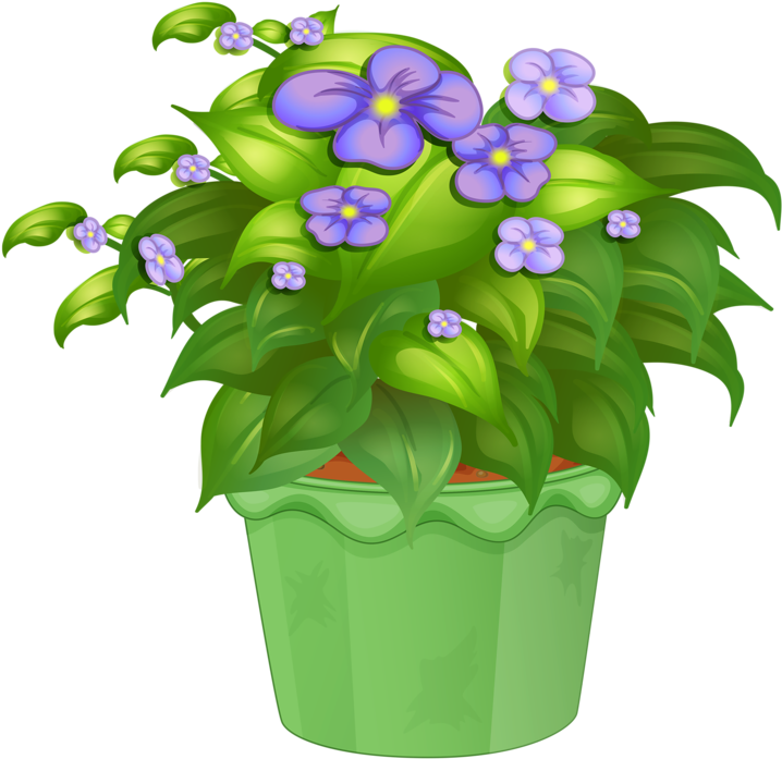 Яндекс - Фотки - Ornamental Plants (800x776), Png Download