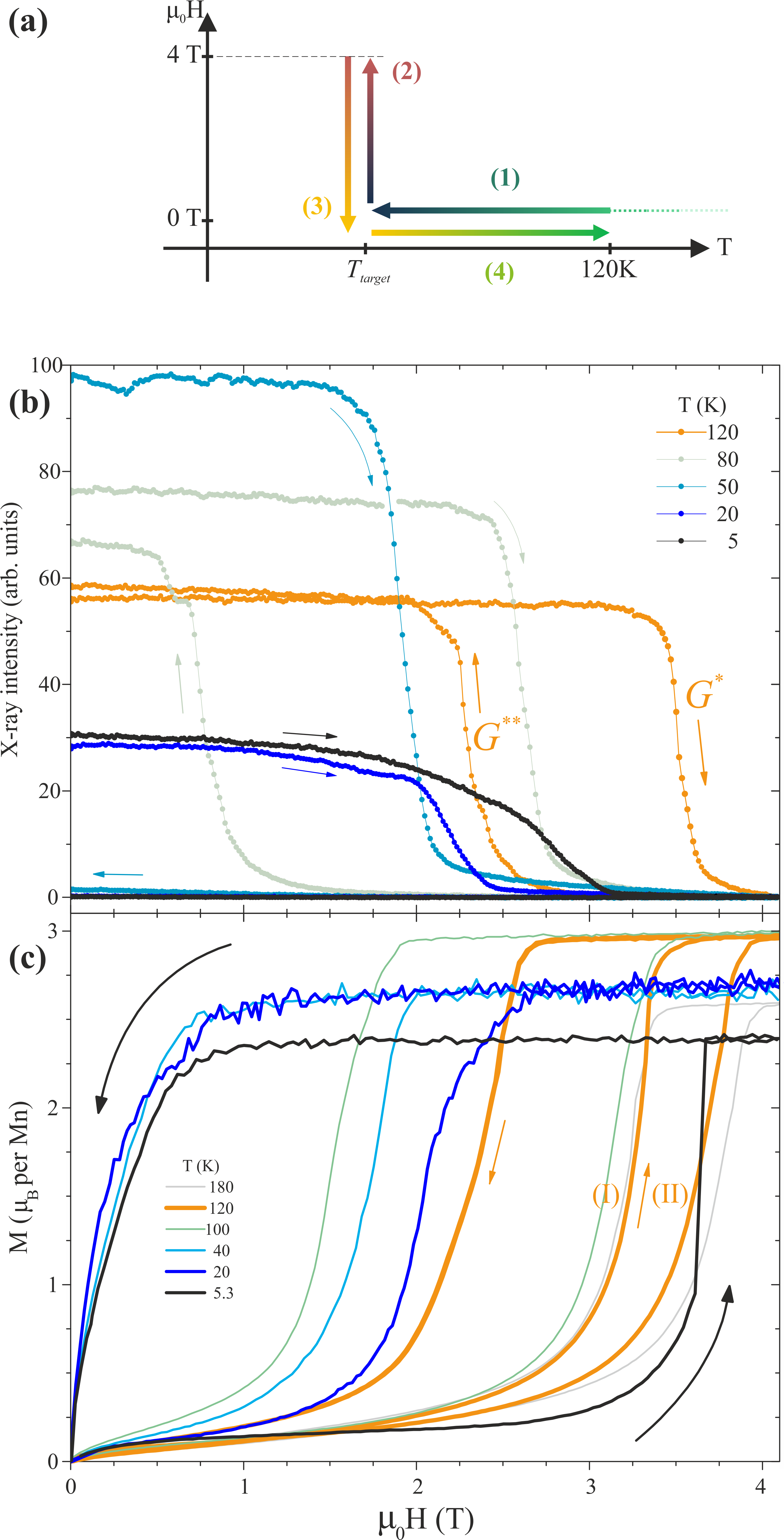 Fig 07 Bdep V03 - Iron (2944x5803), Png Download