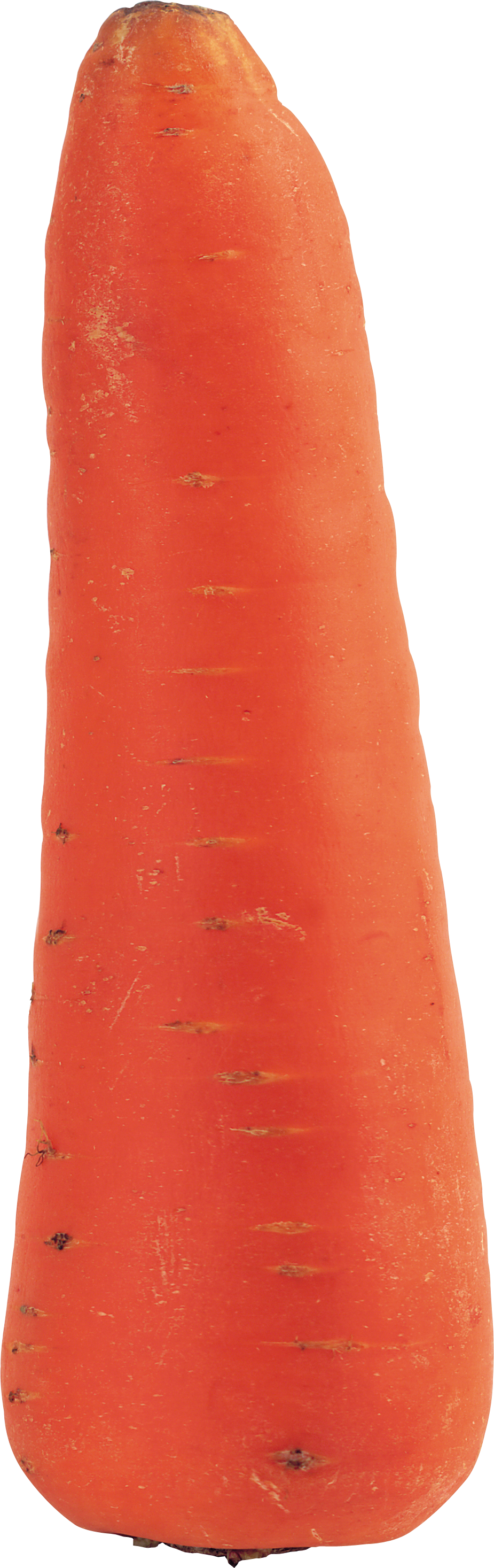 Carrot Png Image - Мокровка Png (925x2933), Png Download