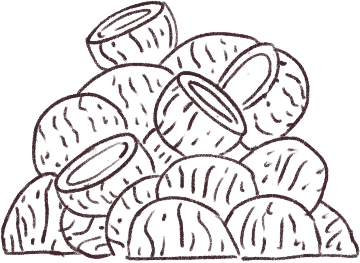 Coconut Bowls - Line Art (1280x1280), Png Download