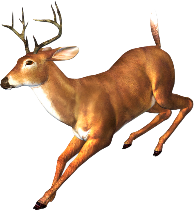 Running Deer (650x704), Png Download