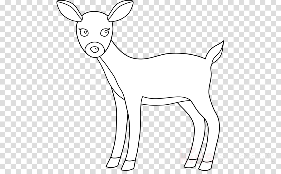 Deer Black And White Png Clipart White-tailed Deer - Transparent Butterfly Png (900x560), Png Download